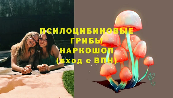 дурь Богородск