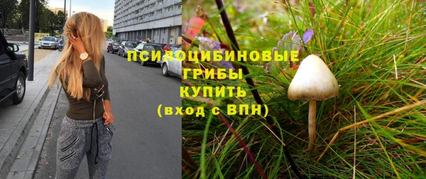 дурь Богородск