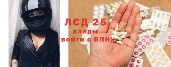 spice Богданович