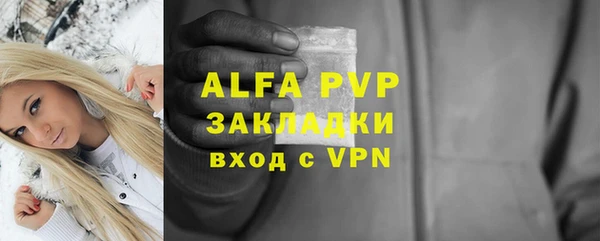 сатива Богородицк