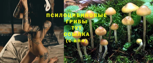 spice Богданович