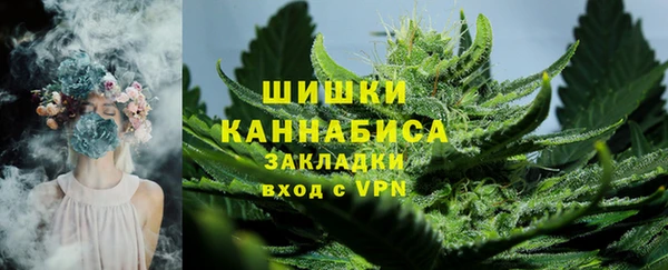 spice Богданович