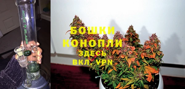 сатива Богородицк