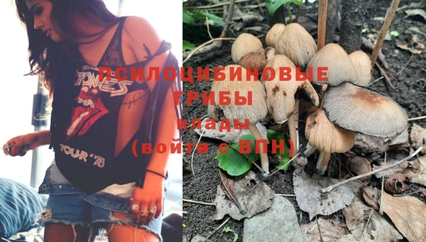 сатива Богородицк